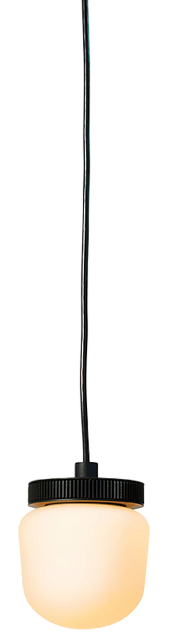 Hoist栏式2020年William Gray封装