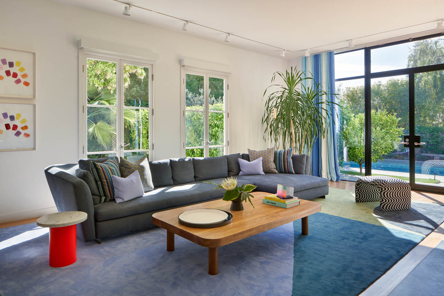 灰色区块环绕房间,角落里有木咖啡桌和树叶树