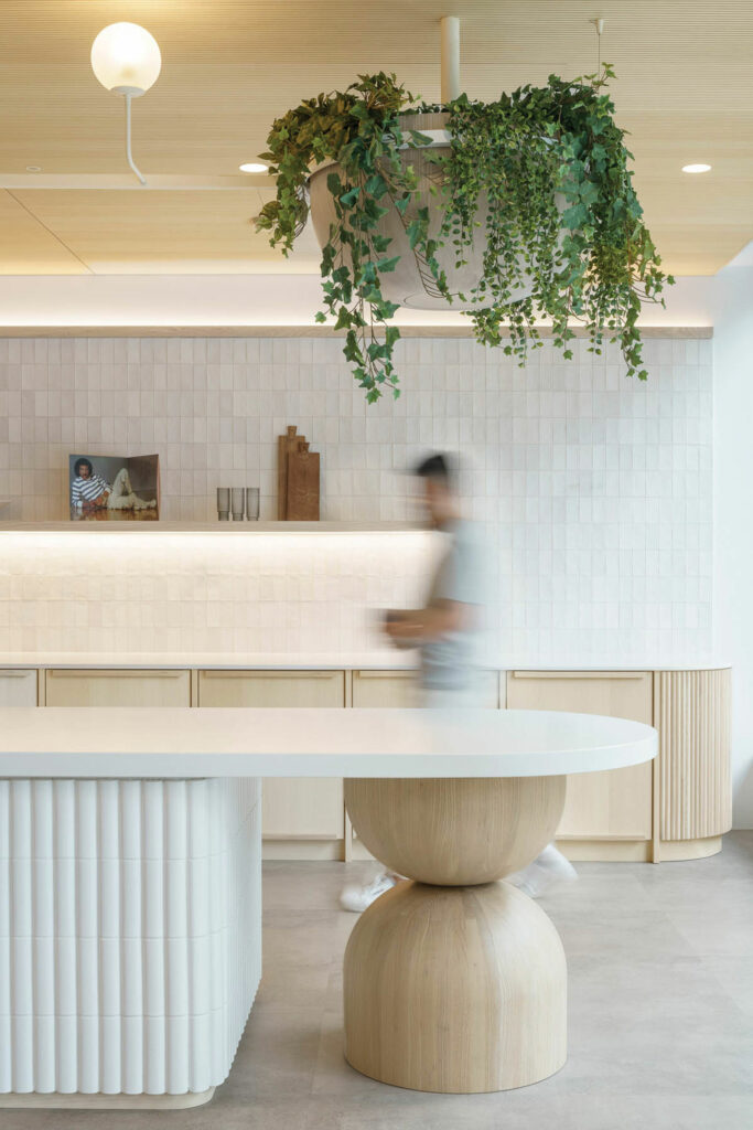 白柜台下有木阶 绿色植物悬浮