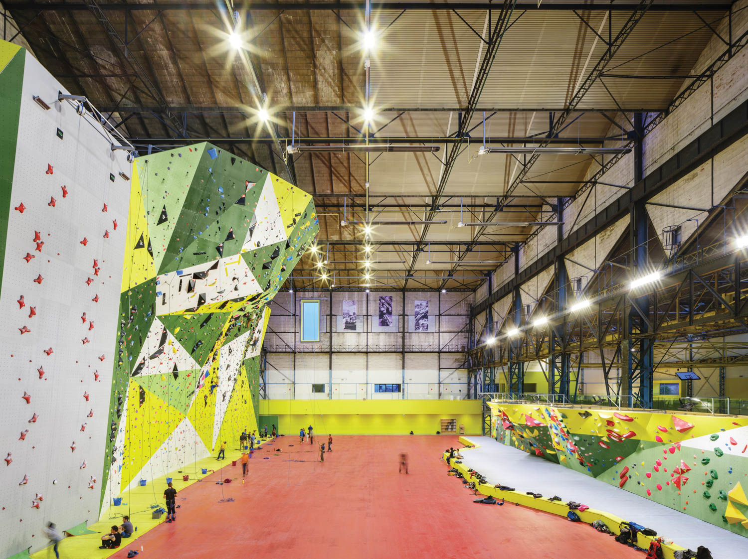 室内岩石爬墙绿树