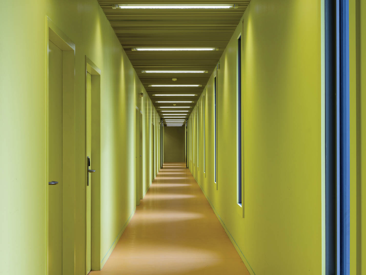 体育中心走廊有明亮绿墙