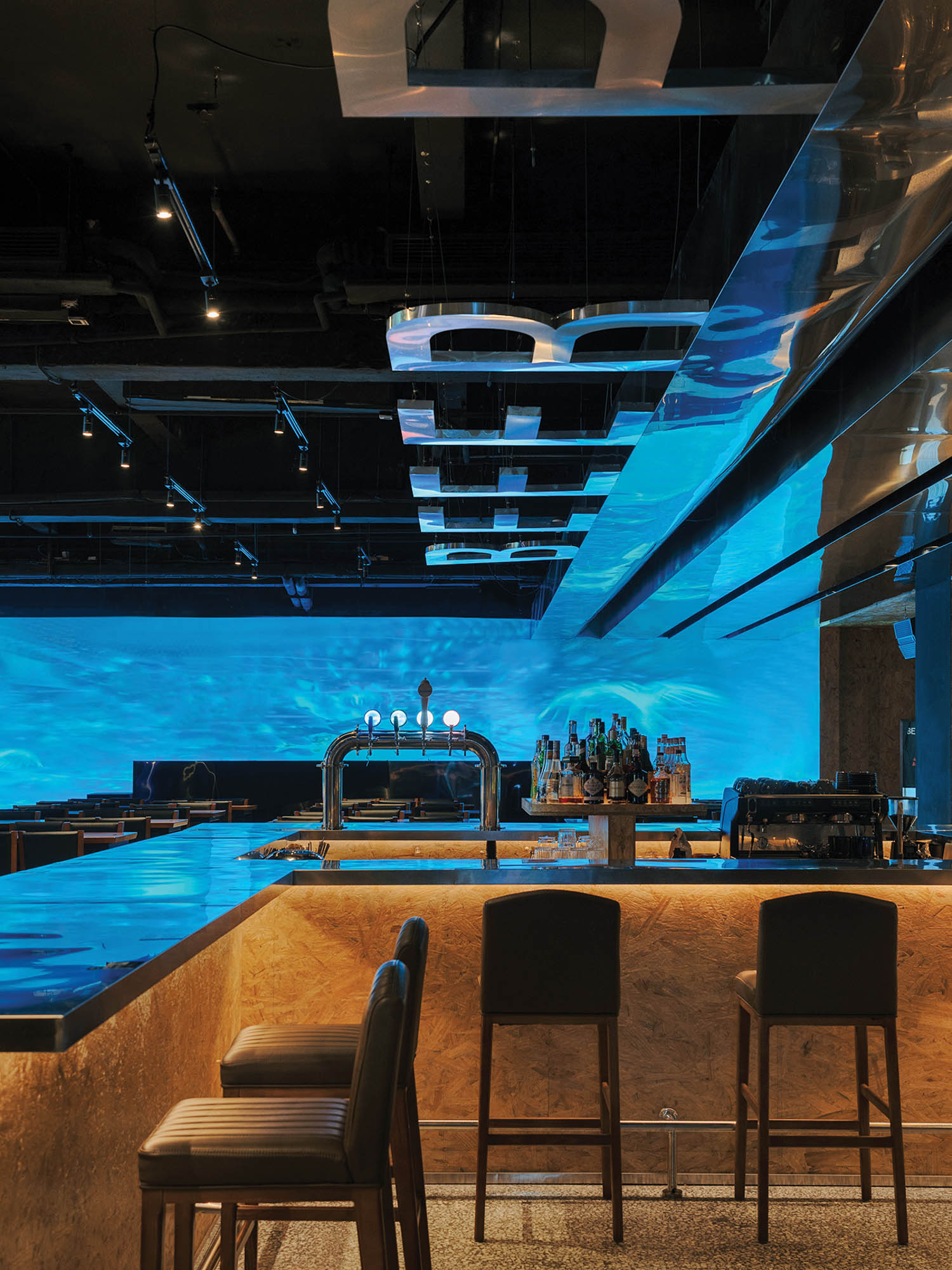 生机勃勃蓝全息器照亮比尔公园酒吧