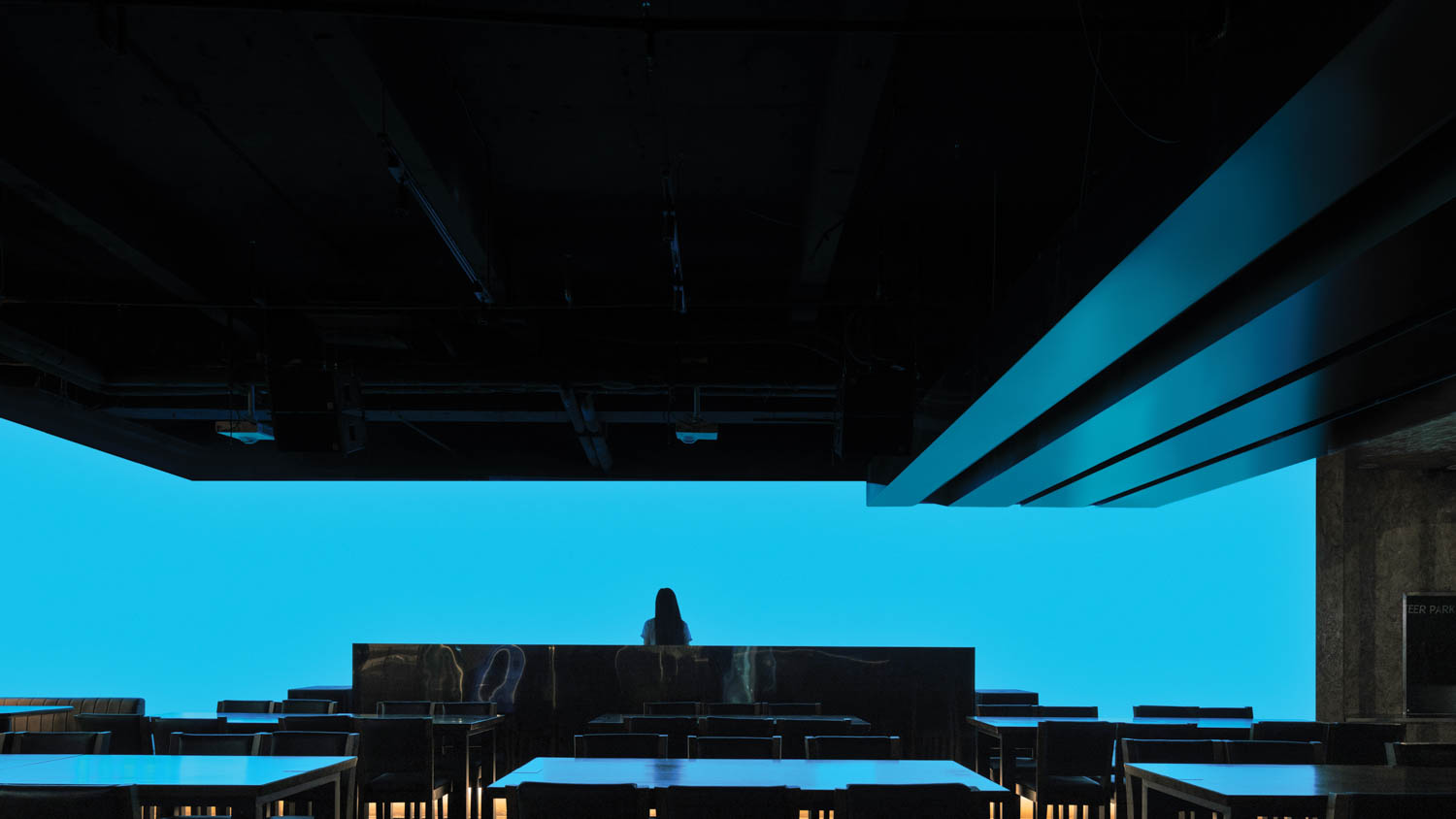 一个女人站在蓝图像前 Beeer公园