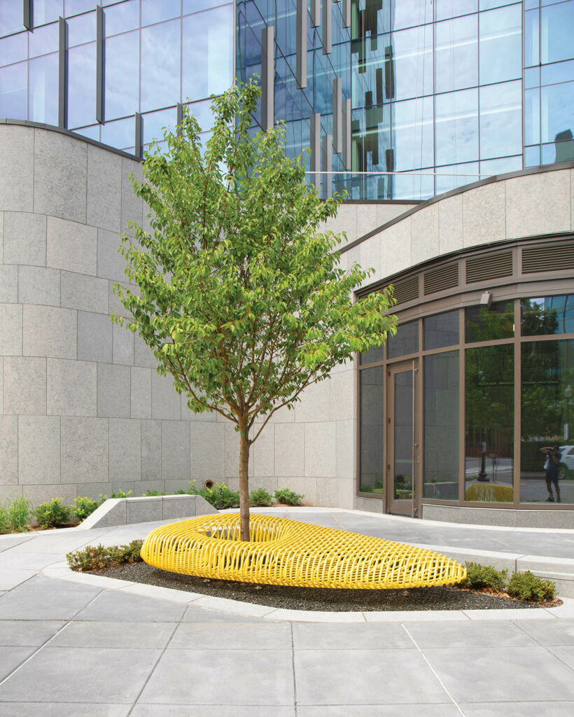 黄树旁安装双轮椅