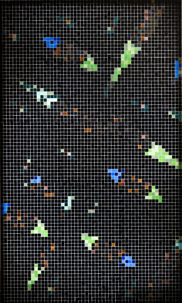 黑马赛克用线人颜色夜间显示NYC