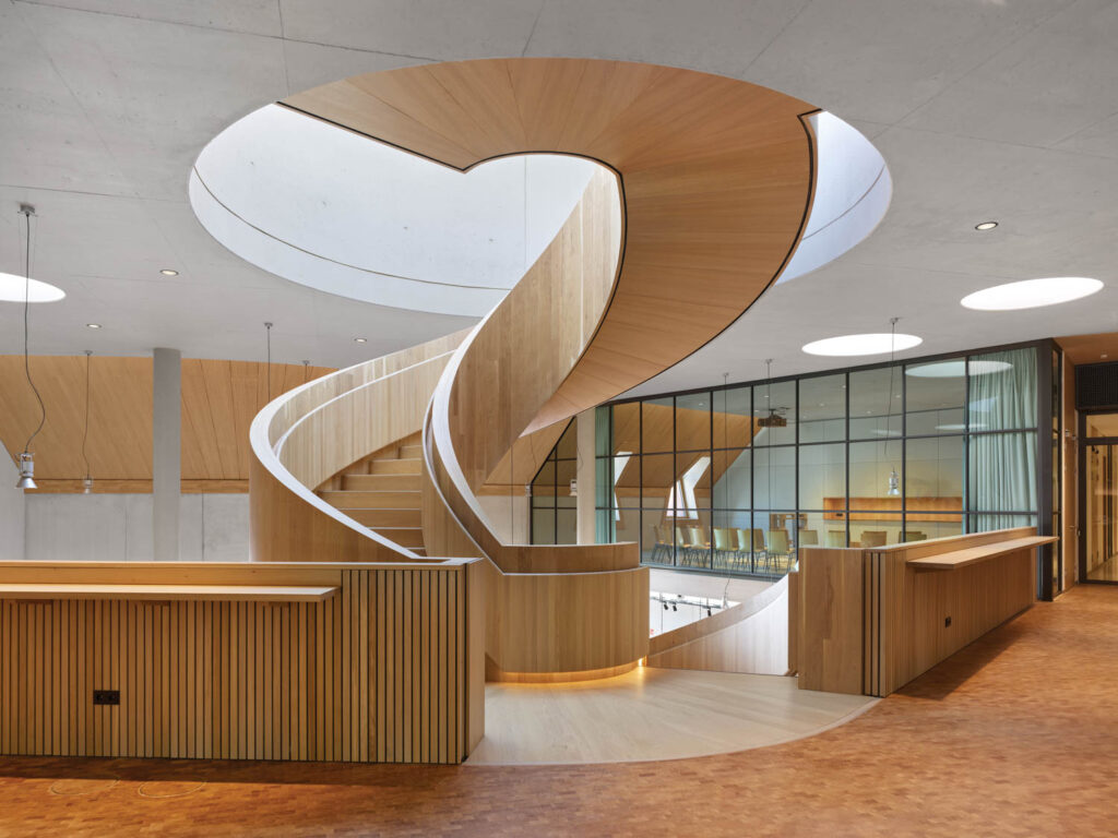 光栅会议室顶部 rapunzel世界