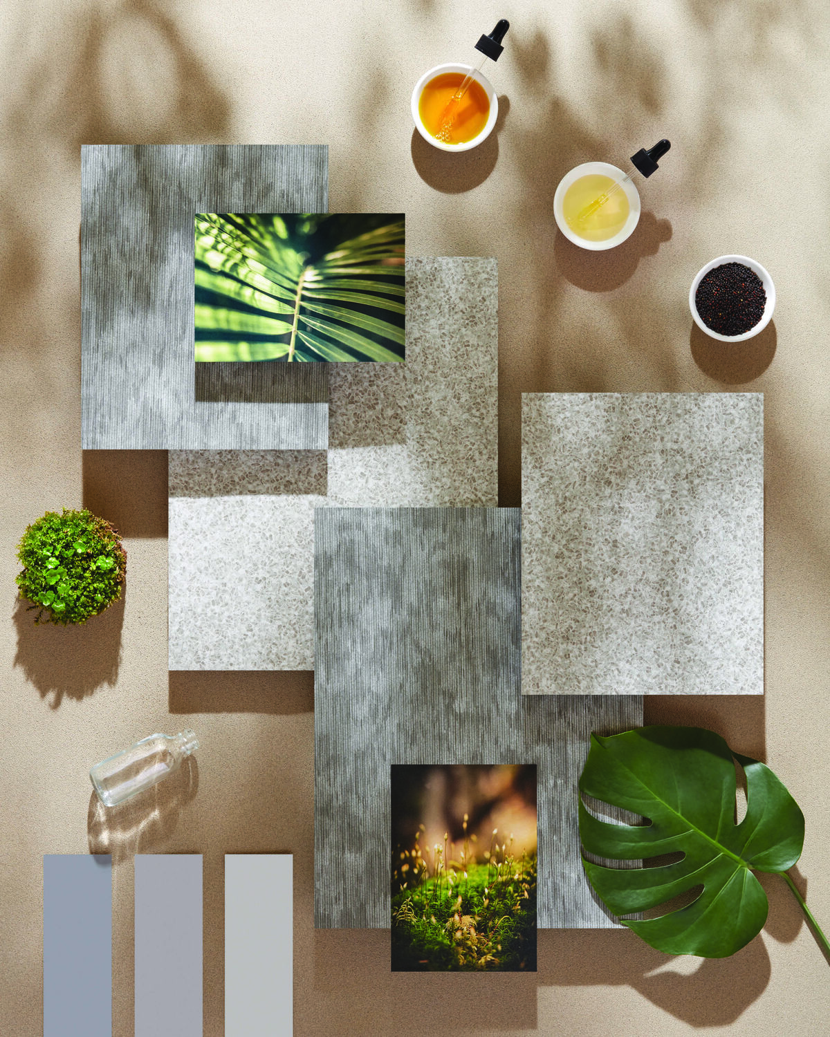 HIP授标2023Shaw应用光合同