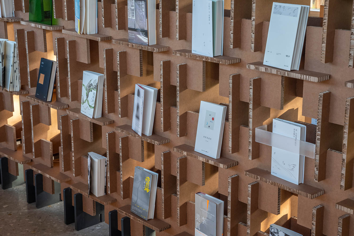 阳光过滤器穿透显示书籍架