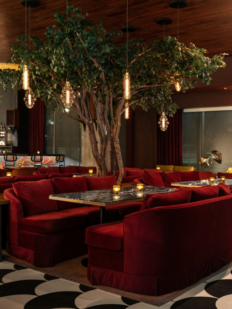 一条像生命树环绕着红天鹅绒宴席