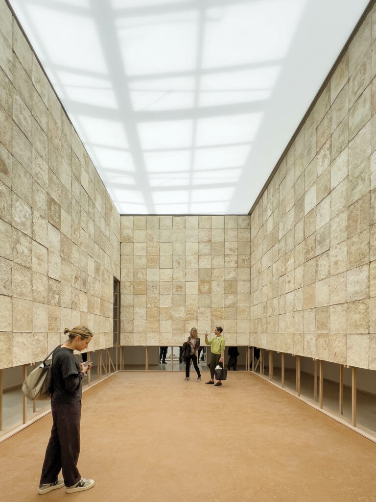 Vivo设施提供生土真菌之类替代构造法