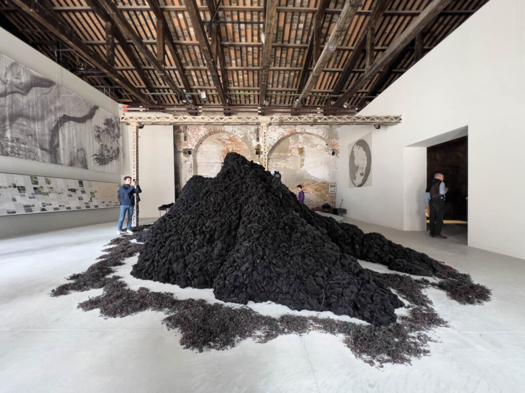 代表爱尔兰生态田作业