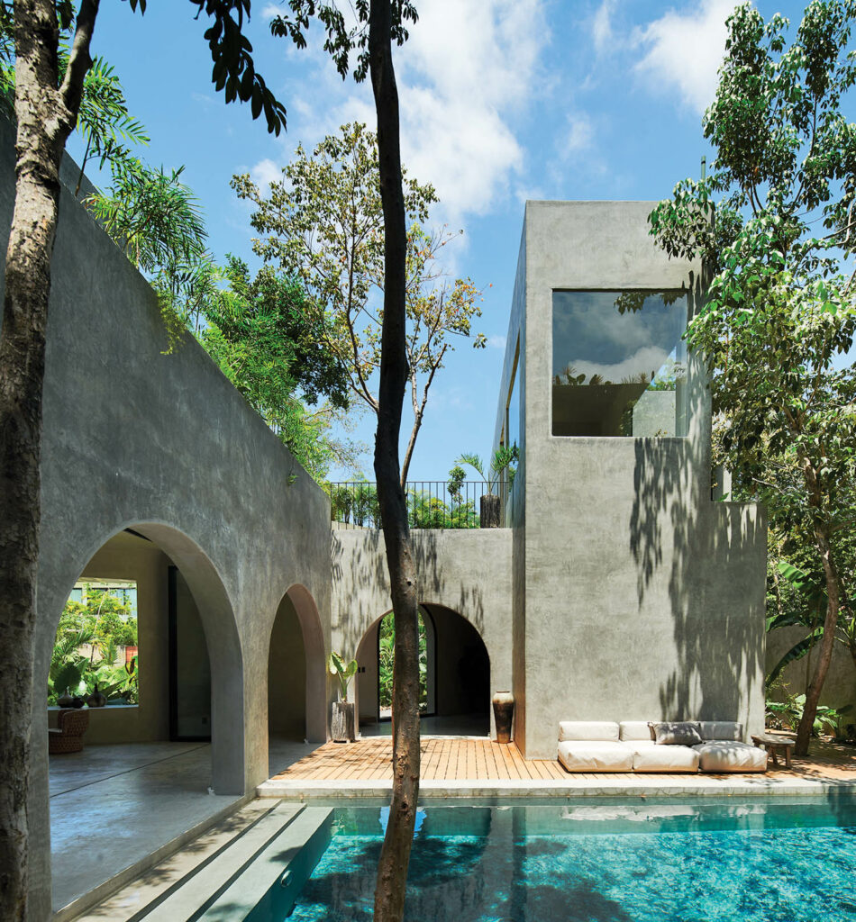 池子离家现有树