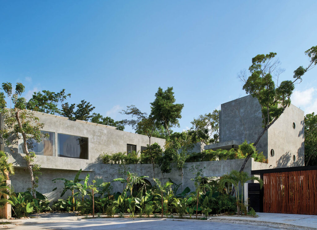 由原生热带植物包围的家