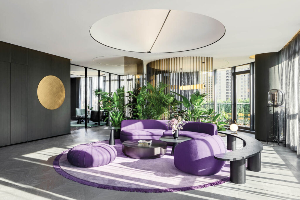 上海分局C类休息室有生物药理口音和紫装饰