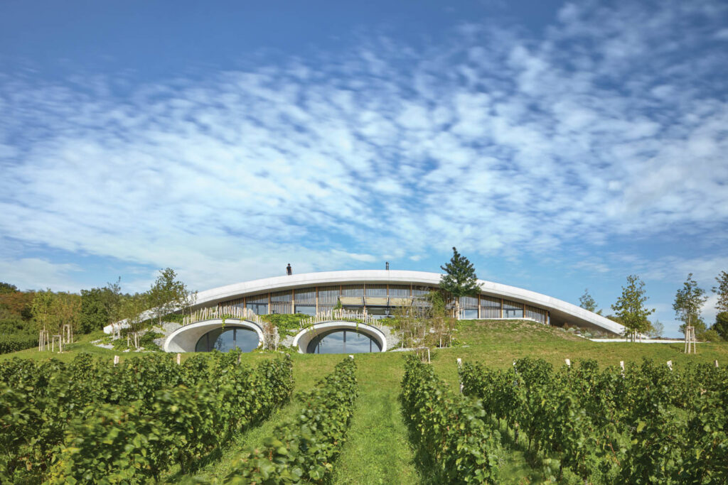 库尔季科夫Gurdau Winery外部