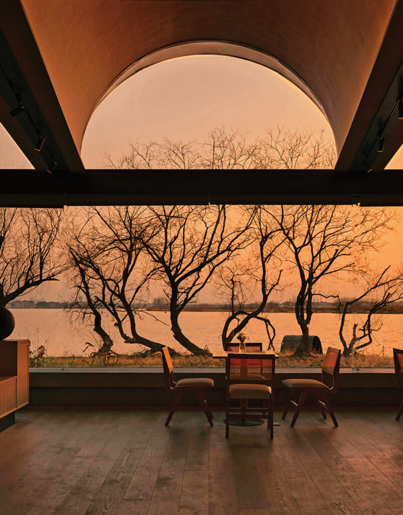 鸟盘上无叶树日落时创建图形排列