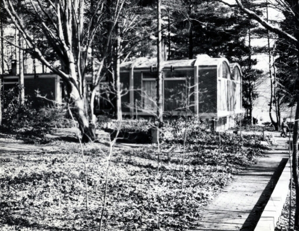 yabovip下载内设计2023年最佳bentel