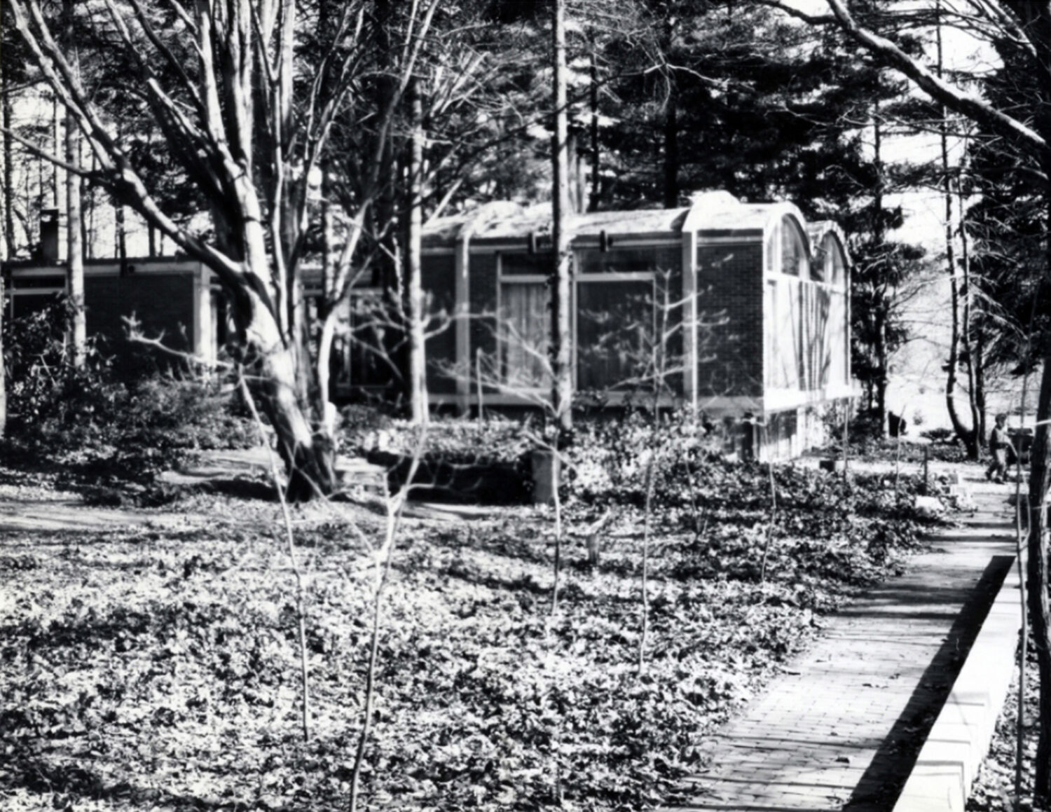 yabovip下载内设计2023年最佳bentel