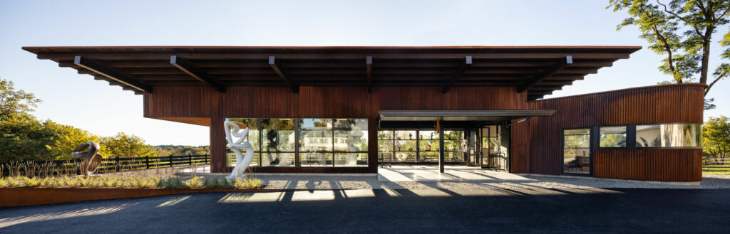 yabovip下载内部设计2023年最佳鸟眼