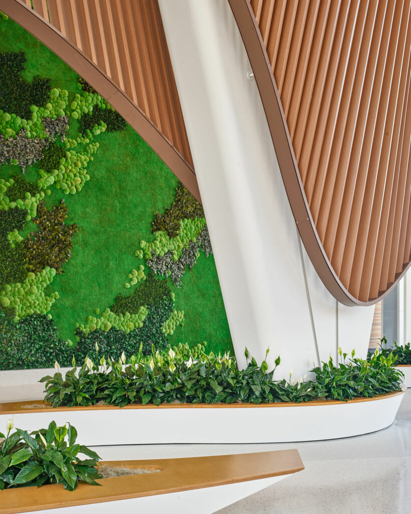 yabovip下载内设计2023年最佳EwinCole