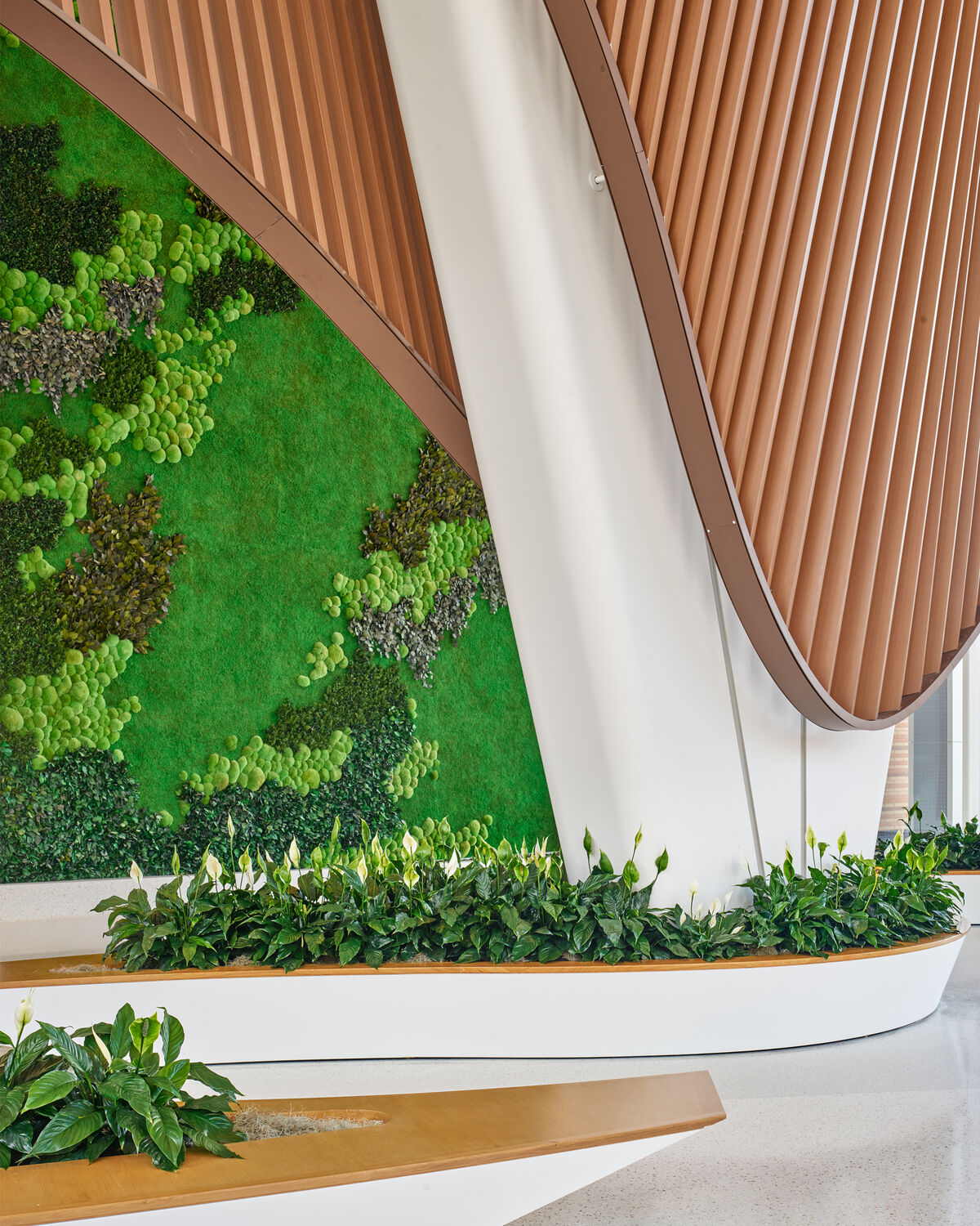 yabovip下载内设计2023年最佳EwinCole