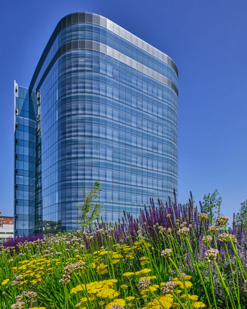 yabovip下载内设计2023年最佳EwinCole