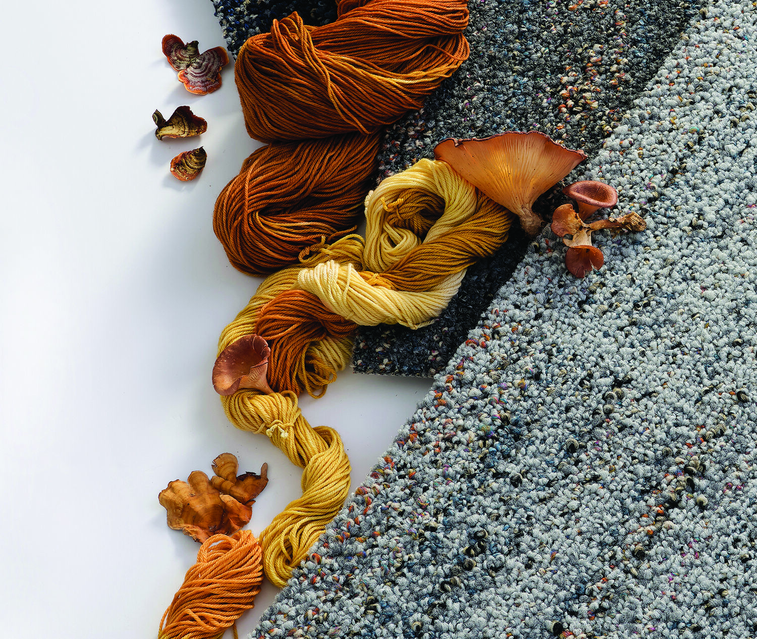 yabovip下载内设计2023最佳 Mohawk集团