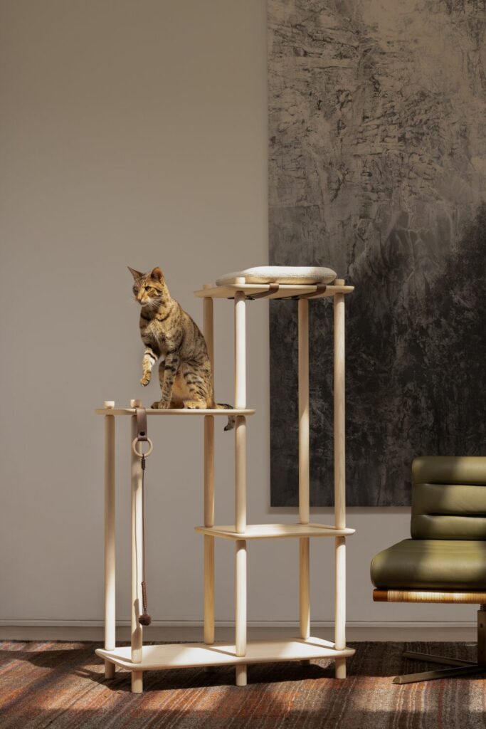 yabovip下载内设计2023年最佳Papuk