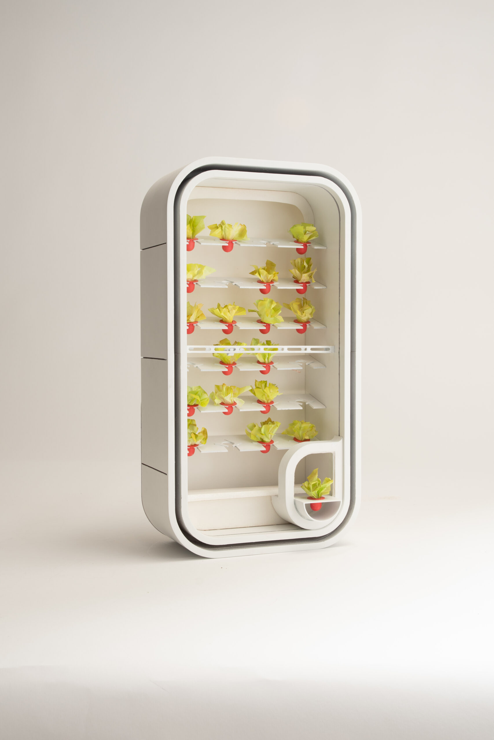 yabovip下载内设计2023年最佳Ryan Lew