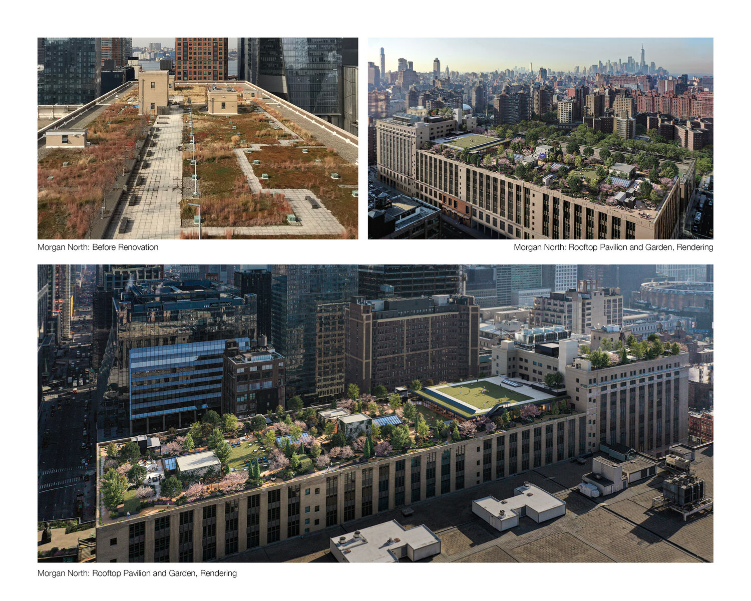 yabovip下载内设计2023年最佳 Shimoda设计组