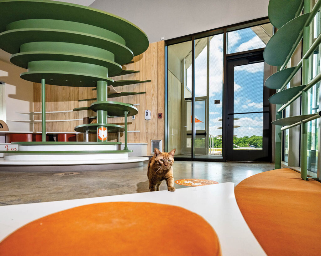 庭园资源中心开放区供动物玩