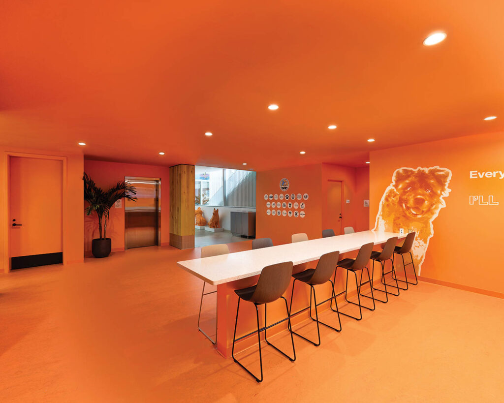 宠物资源中心橙色餐厅