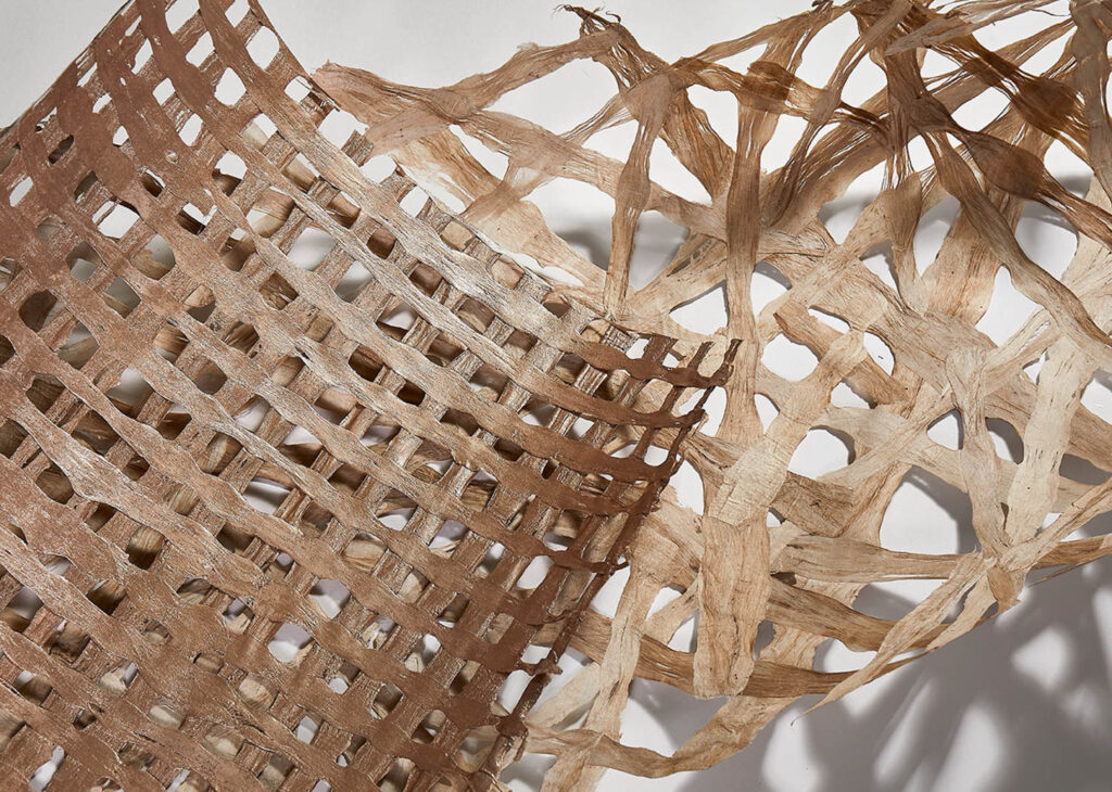 Natura部分Imprint集合LoriWeitzner看到近距离关闭