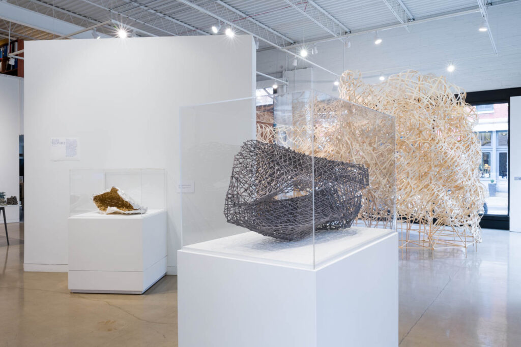 风险气候Stephen Talasnik编程