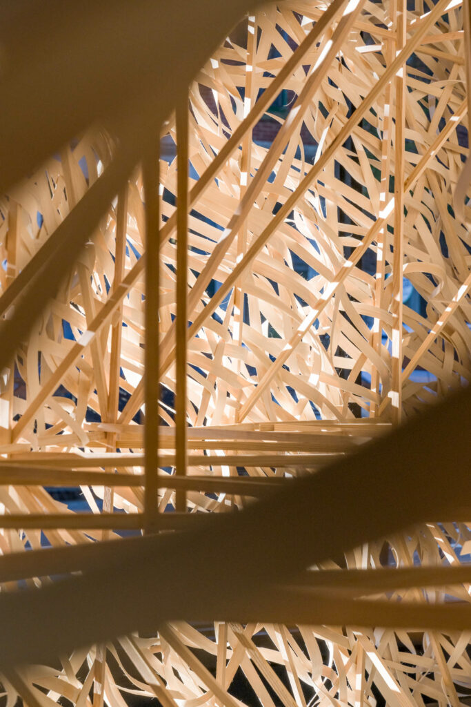 风险气候Stephen Talasnik编程