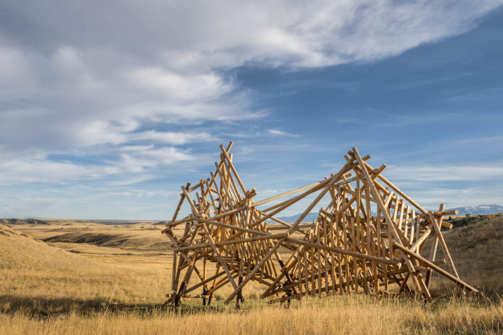 卫星5:Pioneer-Talasnik Stephen Talasnik