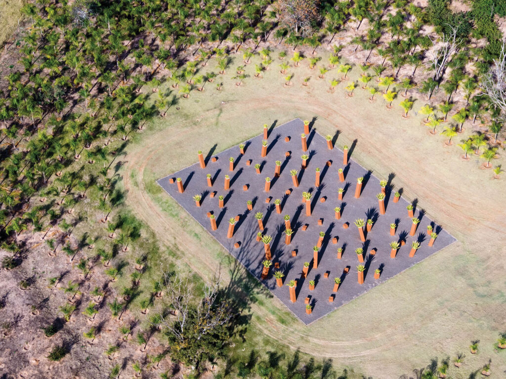 天空观雕像菜园