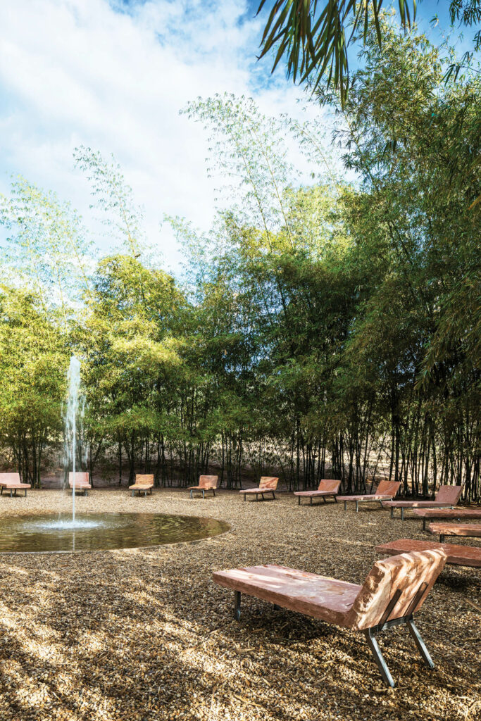 室外花园全景绿树