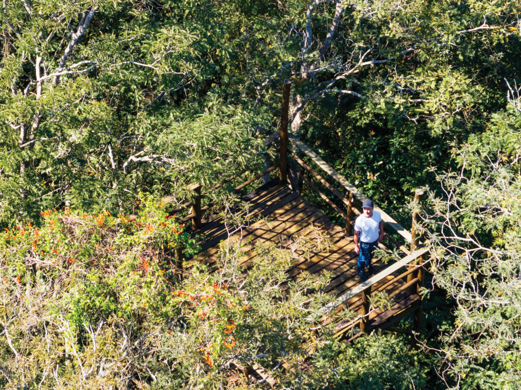 空拍室外花园 人站栅栏