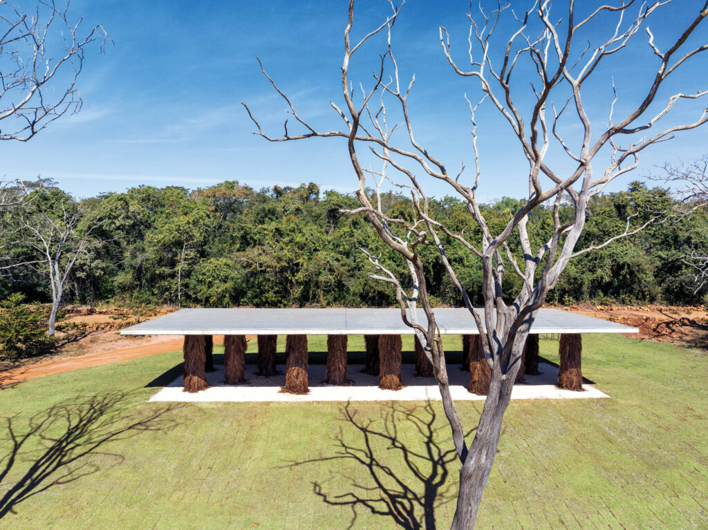 室外花园结构平面紧靠灌木