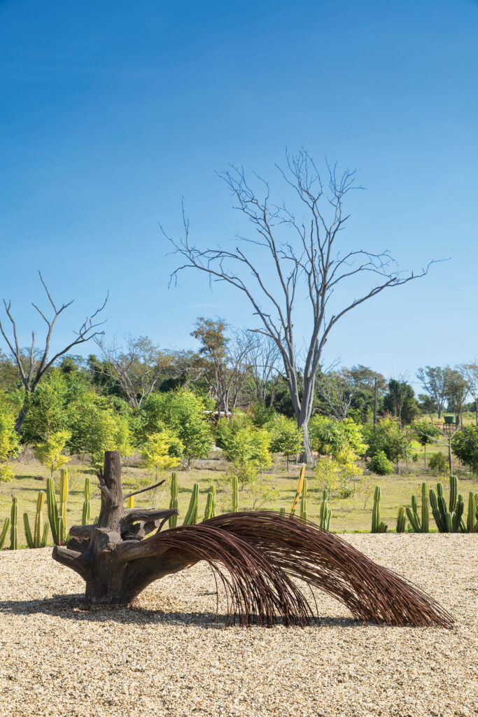 室外花园长雕刻、树林和灌木