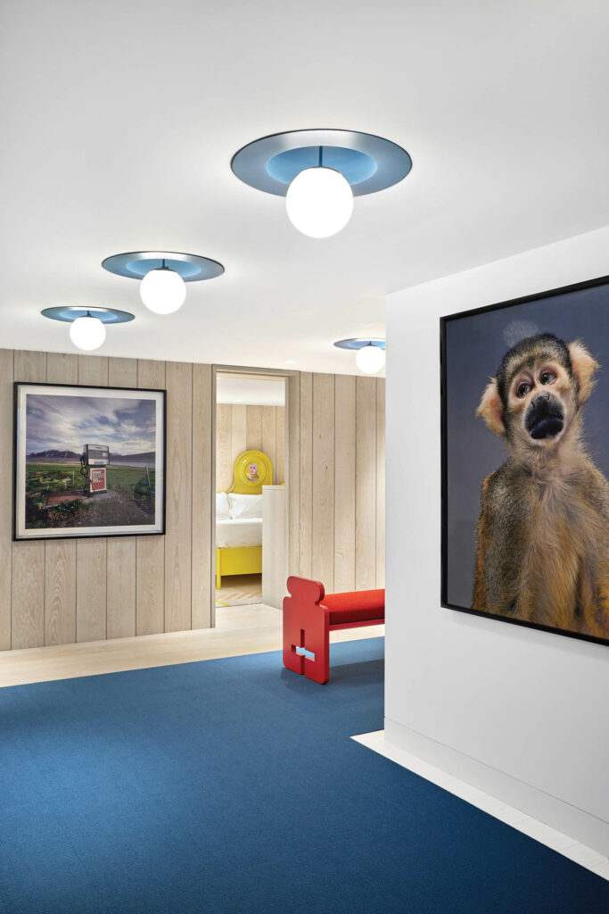 内走廊带蓝地毯、猴子艺术和球形光