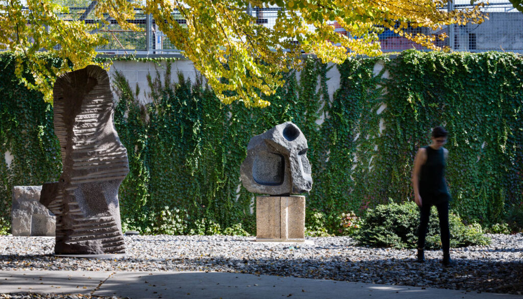 花园装饰和灌木