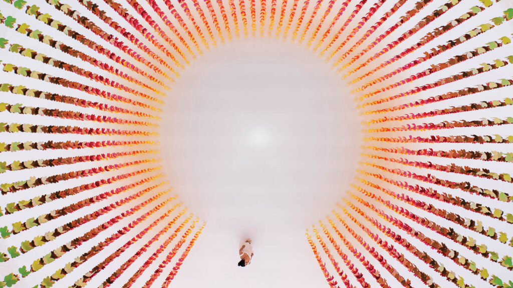 大白室满是毛色纸蝴蝶