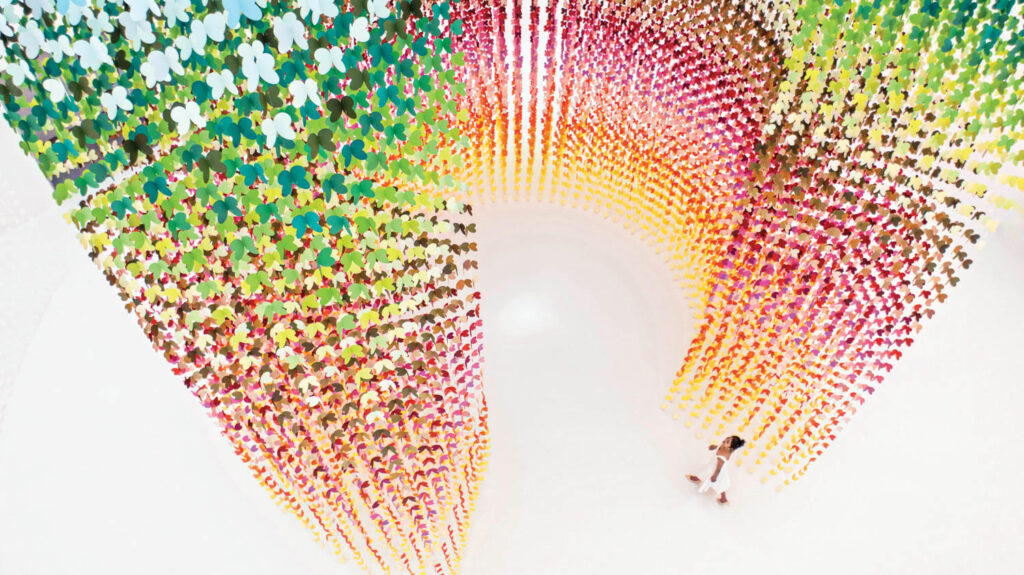 大白室满是毛色纸蝴蝶