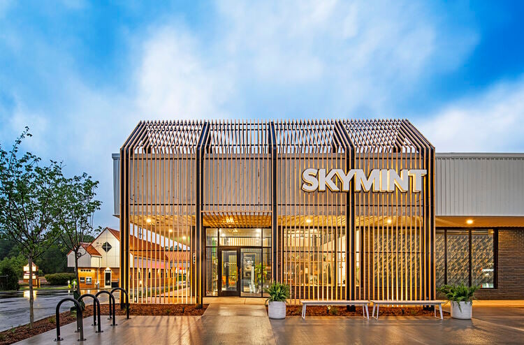 Skymint系统