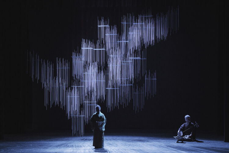 与LotusFlorers相容