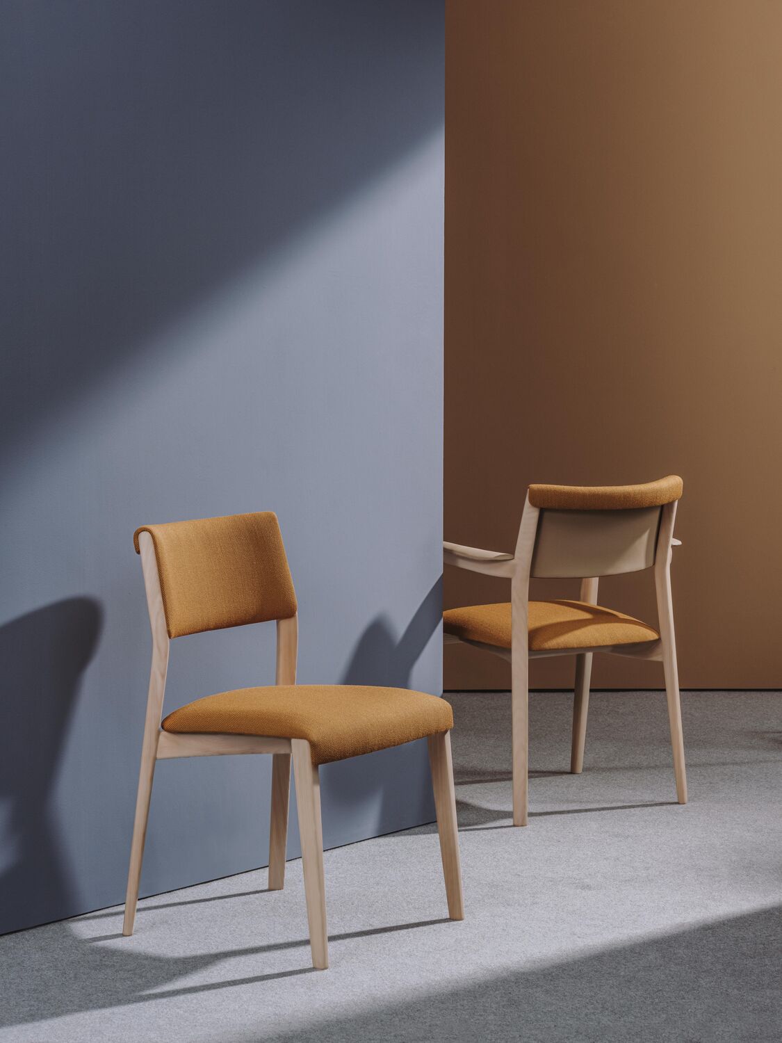 客座封套拉平:Rizo