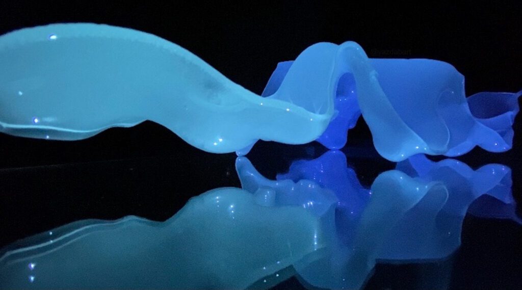 Yazmin Dabaneh集思广益