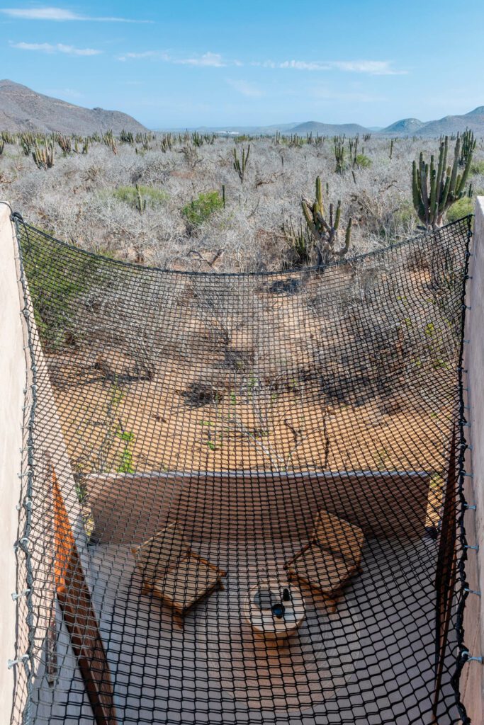 上层机房哈默克式网提供200年卡通cacti和夜视星像浏览器